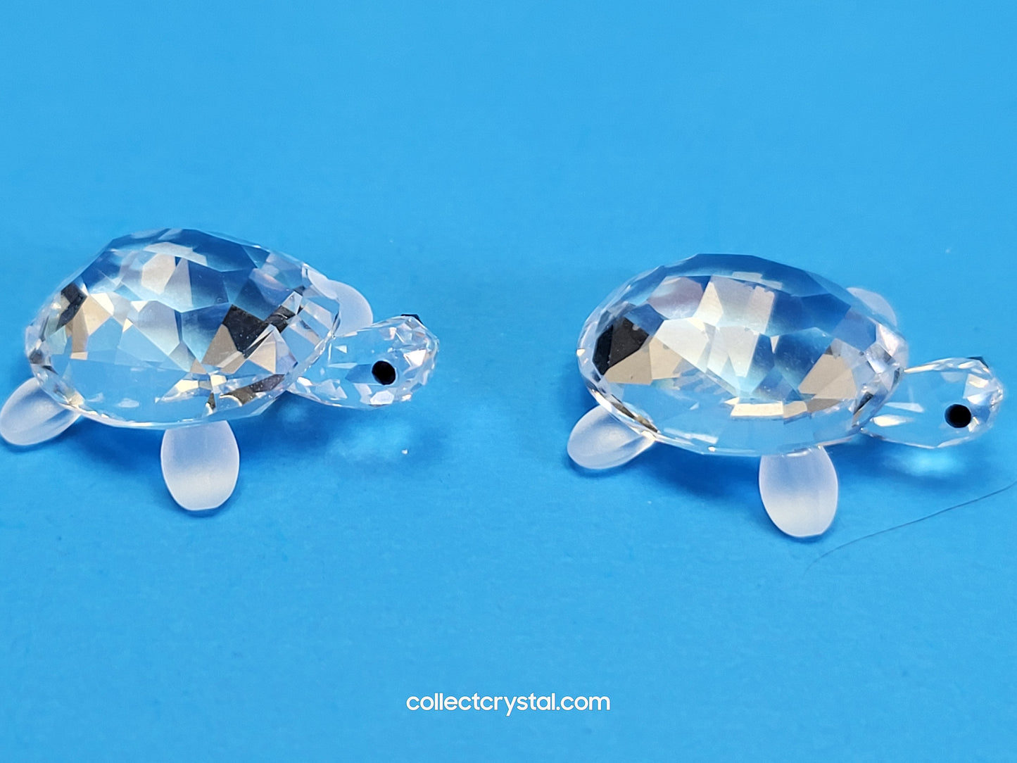 TORTOISES BABY Turtles Set of 2 # 220960