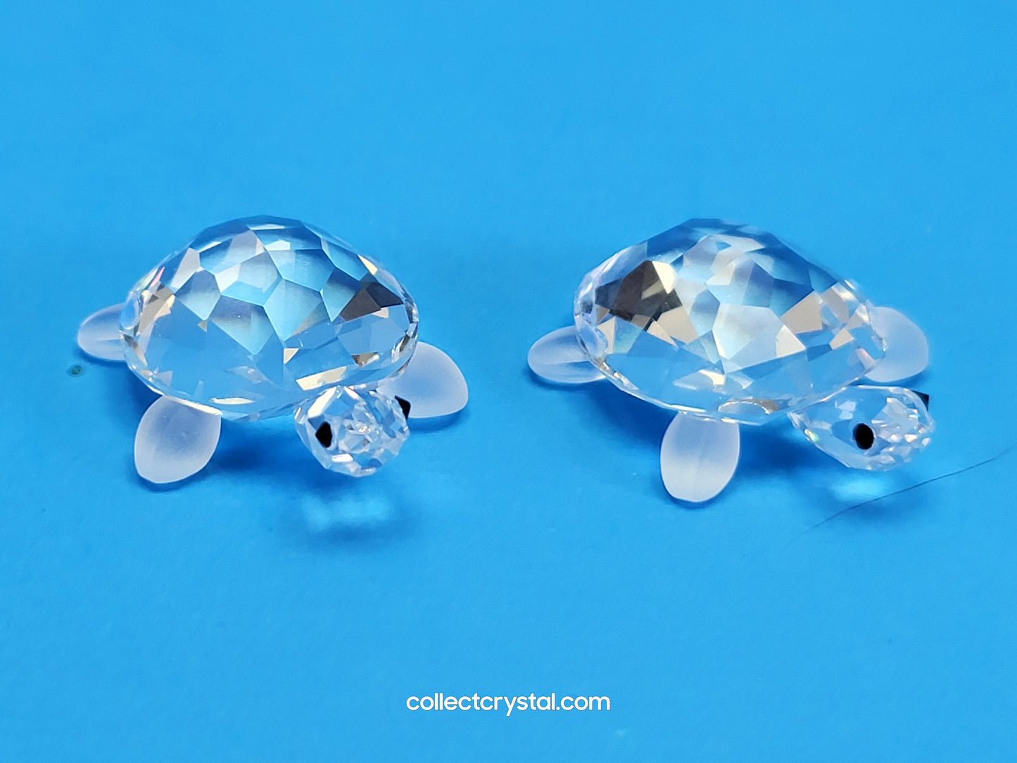 TORTOISES BABY Turtles Set of 2 # 220960