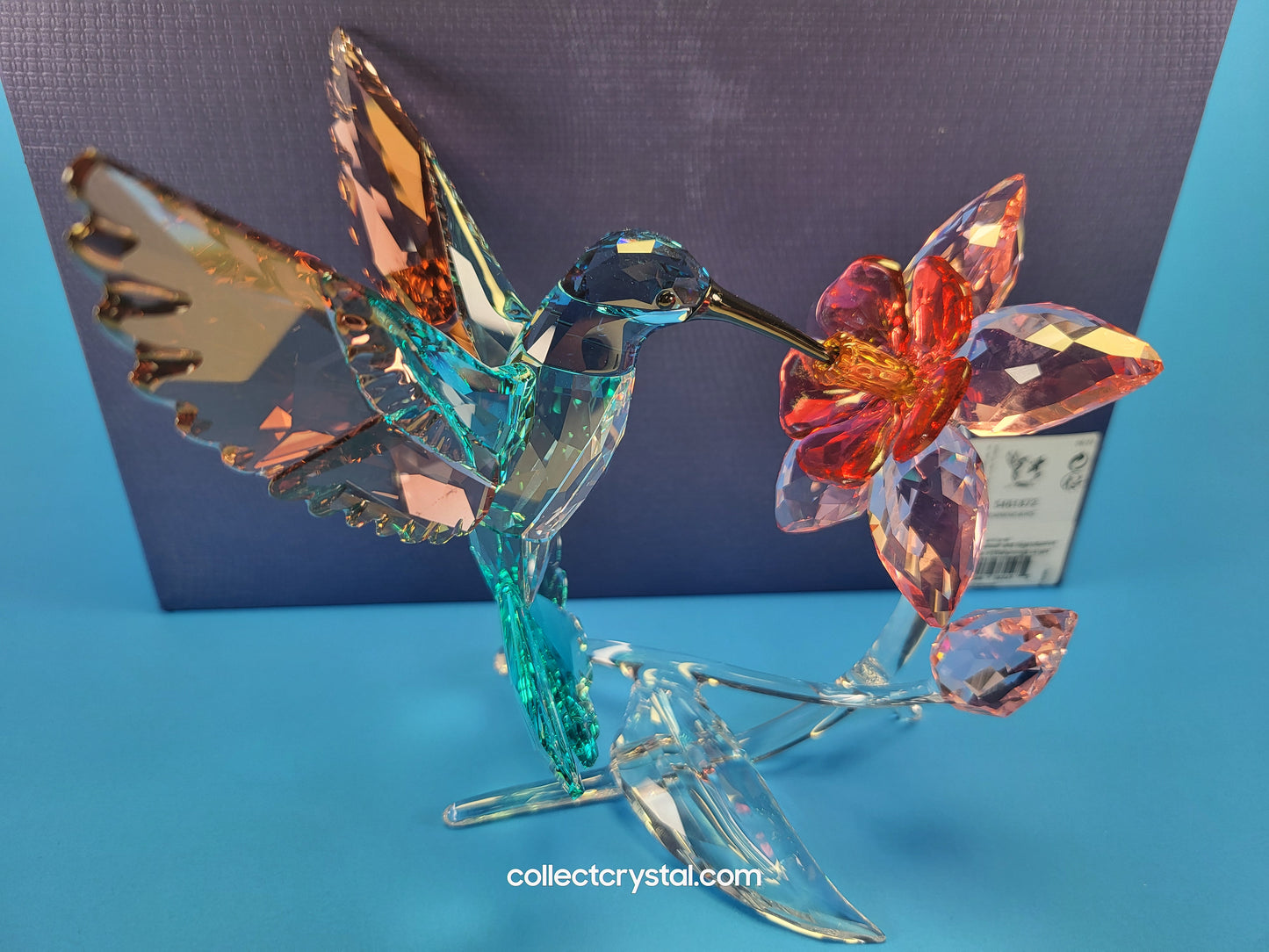 PARADISE BIRDS – HUMMINGBIRD 2019 ISSUE 5461872