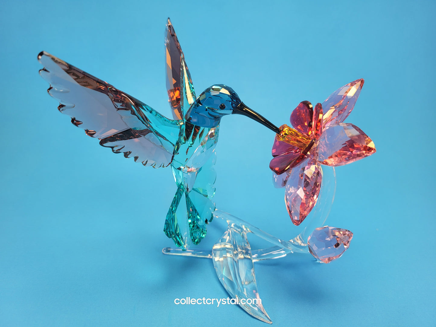 PARADISE BIRDS – HUMMINGBIRD 2019 ISSUE 5461872