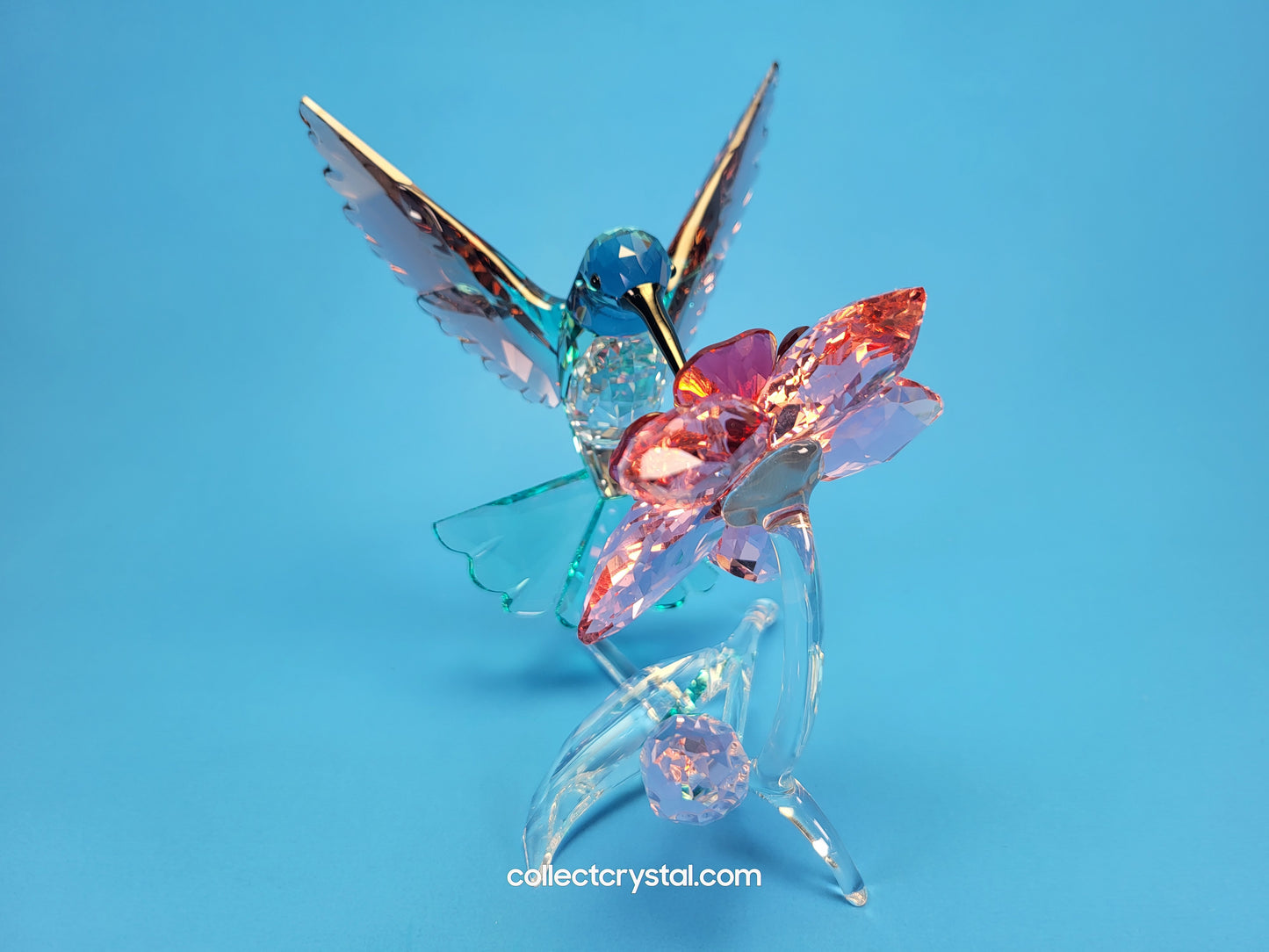 PARADISE BIRDS – HUMMINGBIRD 2019 ISSUE 5461872