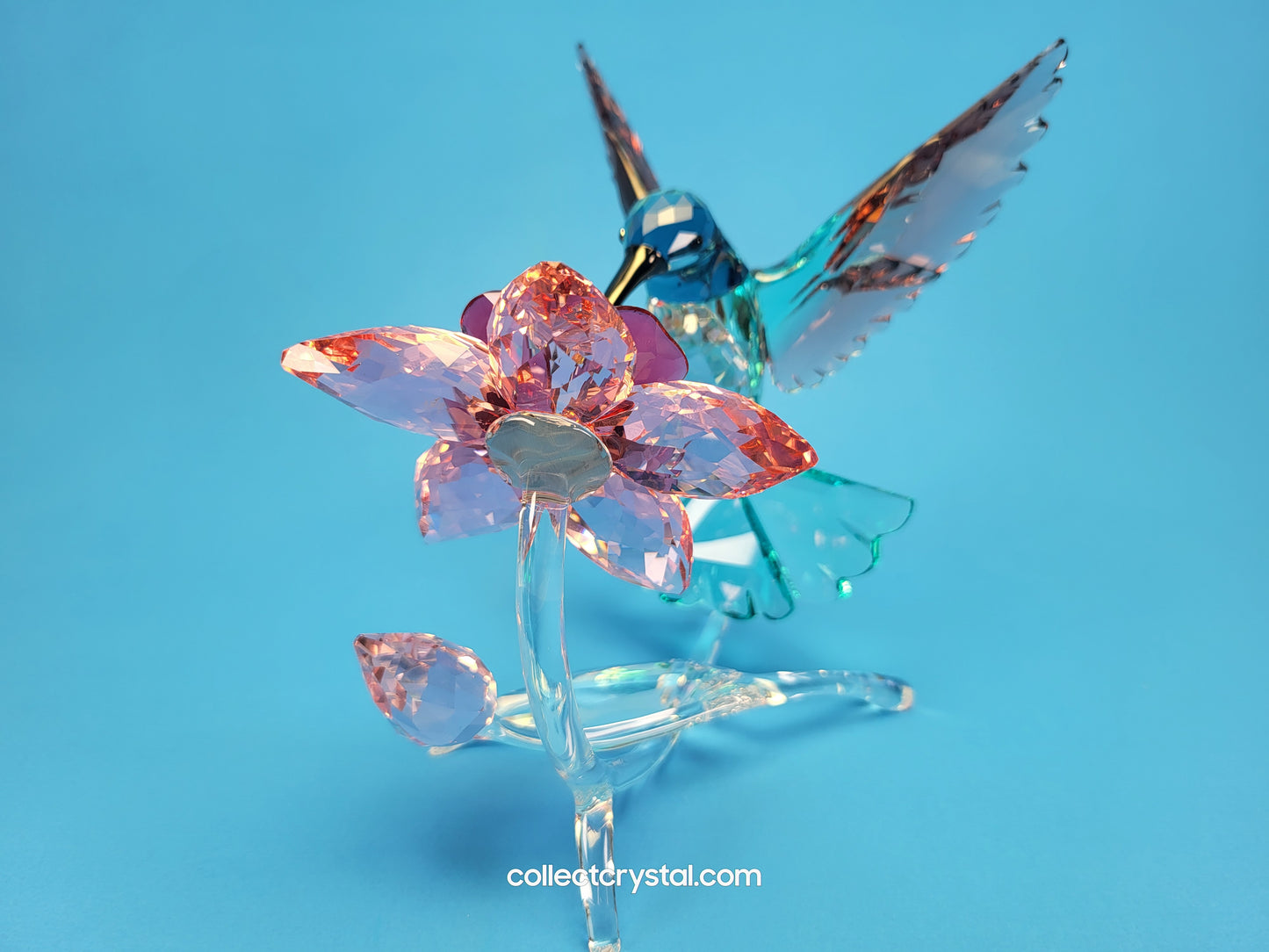 PARADISE BIRDS – HUMMINGBIRD 2019 ISSUE 5461872