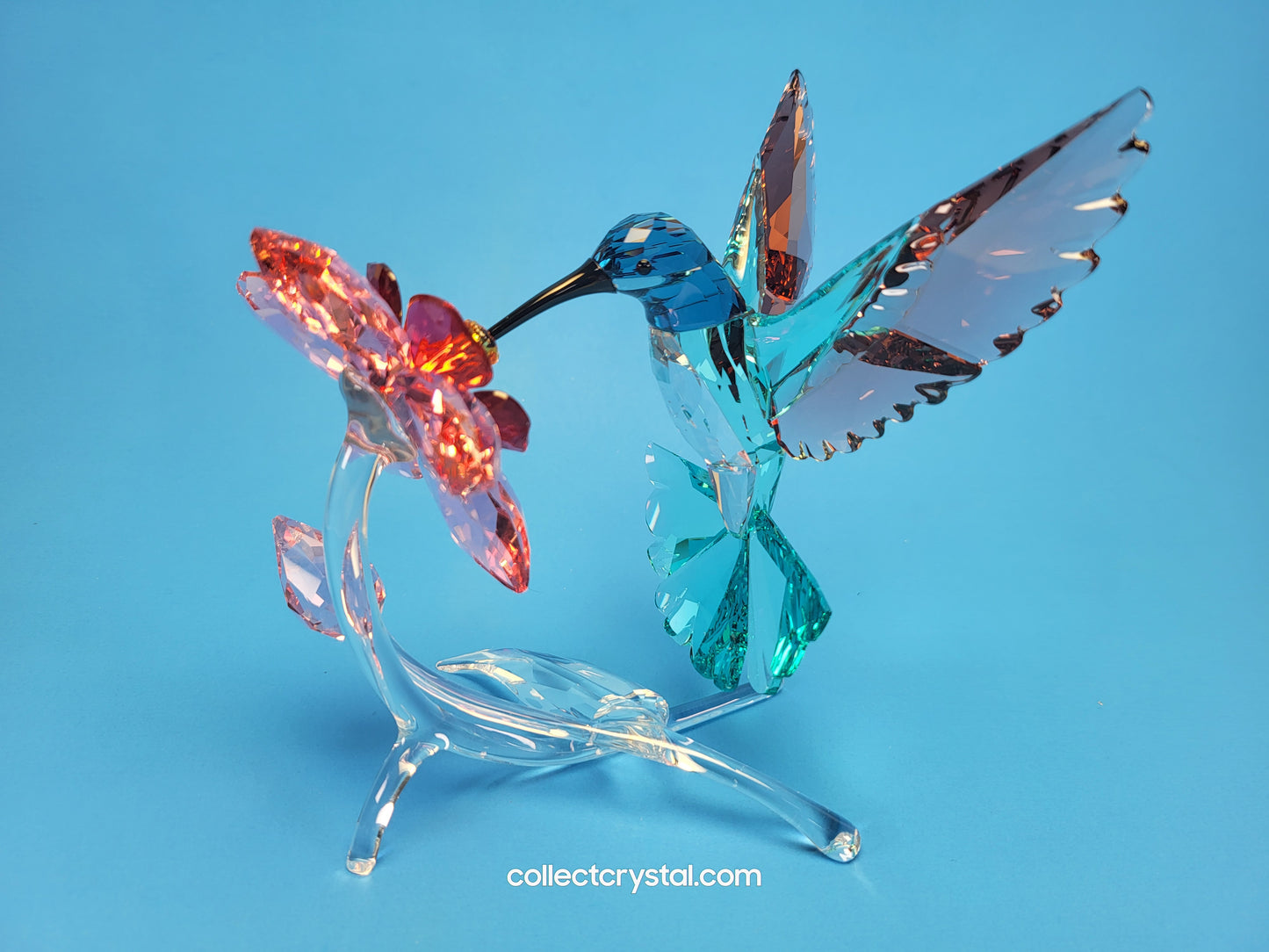 PARADISE BIRDS – HUMMINGBIRD 2019 ISSUE 5461872