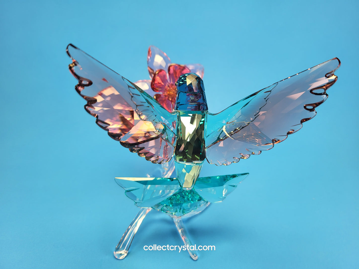 PARADISE BIRDS – HUMMINGBIRD 2019 ISSUE 5461872