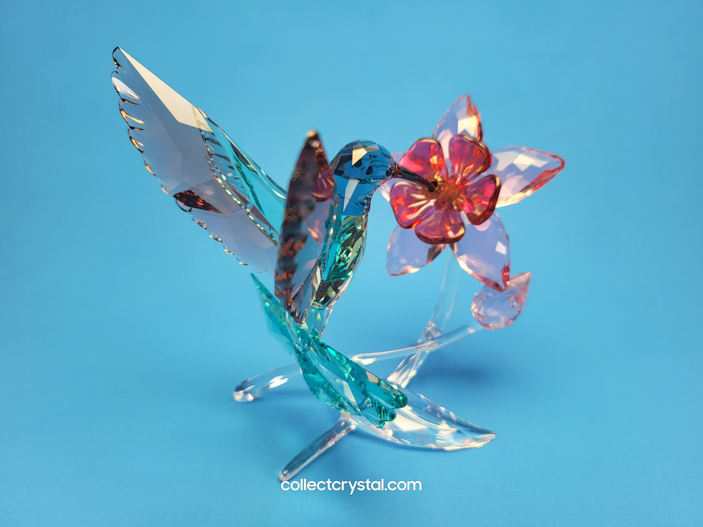 PARADISE BIRDS – HUMMINGBIRD 2019 ISSUE 5461872