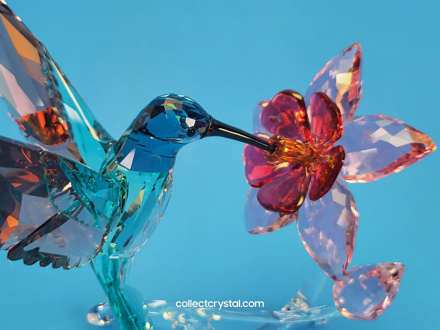 PARADISE BIRDS – HUMMINGBIRD 2019 ISSUE 5461872