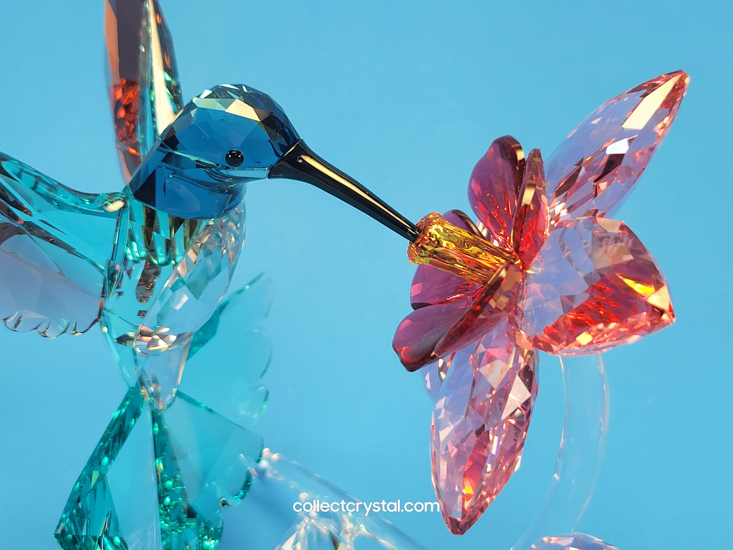 PARADISE BIRDS – HUMMINGBIRD 2019 ISSUE 5461872