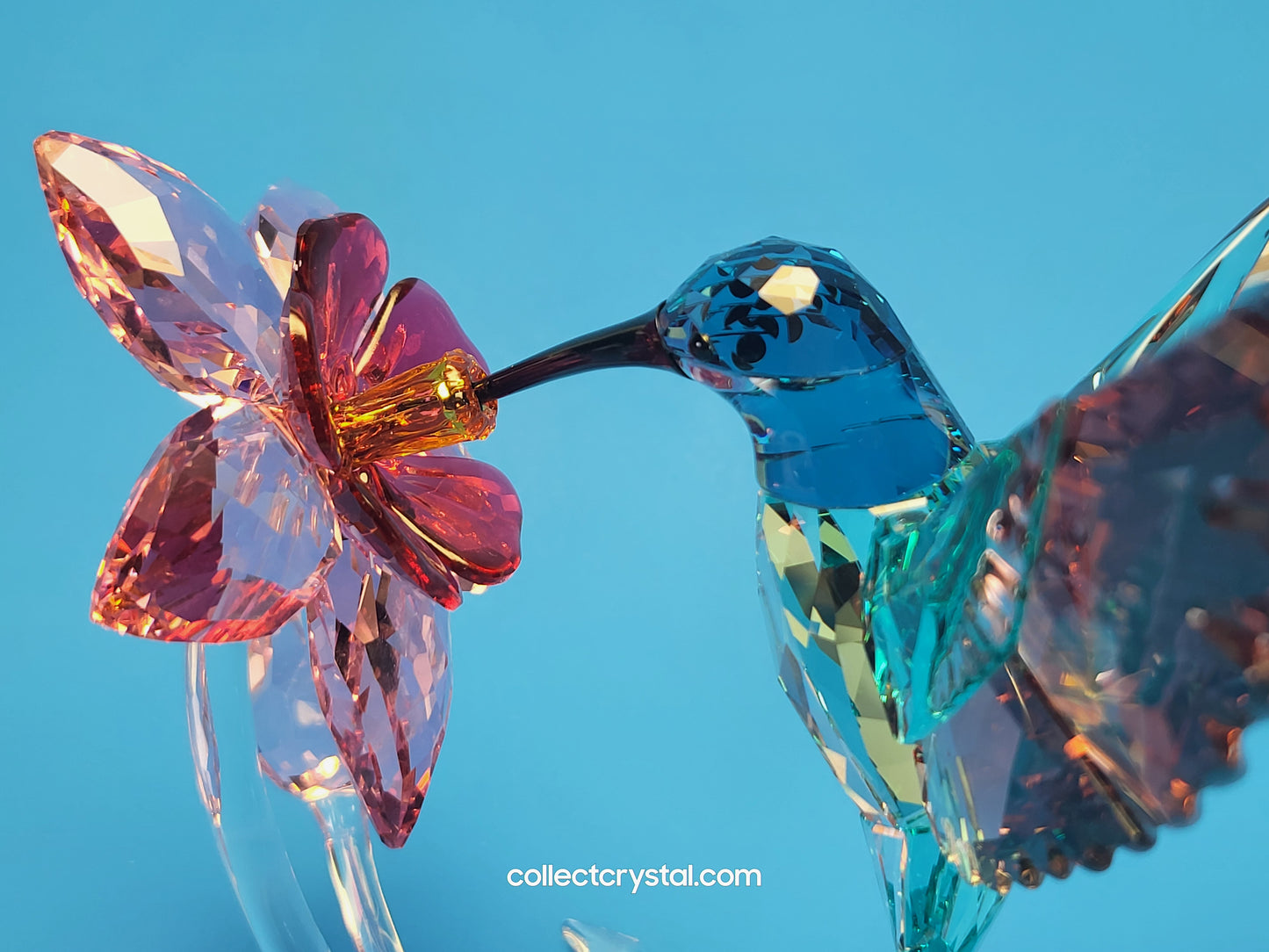 PARADISE BIRDS – HUMMINGBIRD 2019 ISSUE 5461872