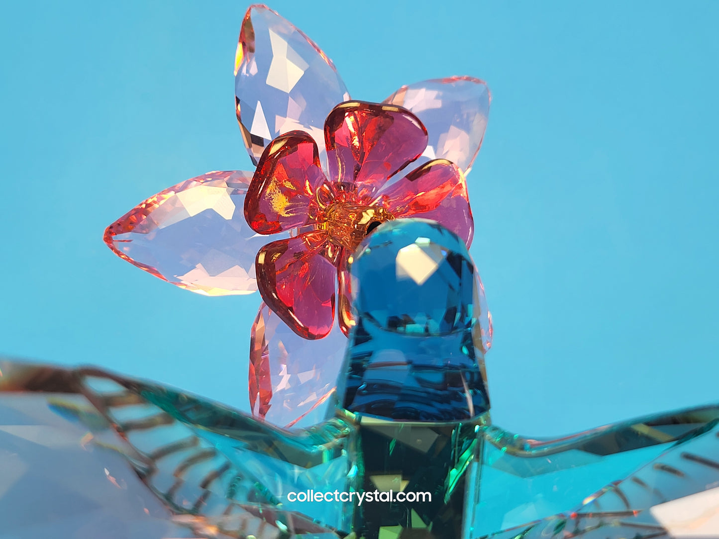 PARADISE BIRDS – HUMMINGBIRD 2019 ISSUE 5461872