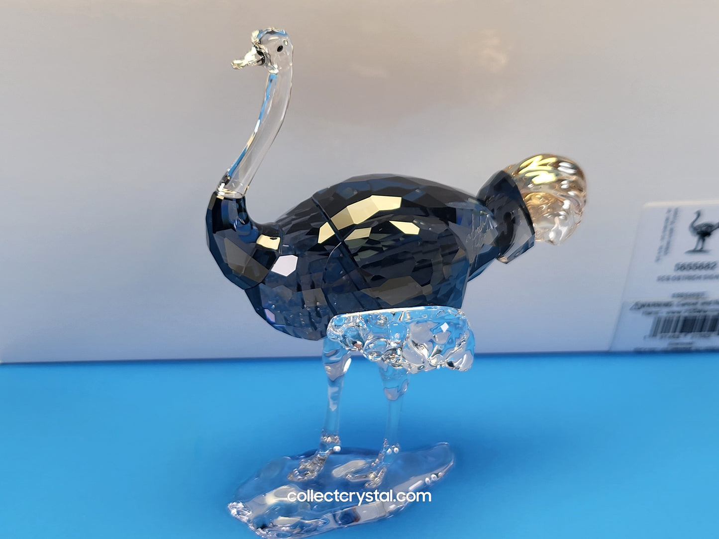 SCS 2023 ELEGANCE OF AFRICA OSTRICH MAKENA # 5636302 Designer Signed