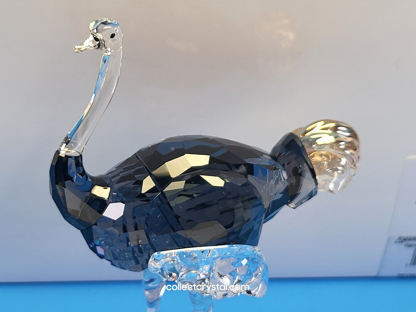 SCS 2023 ELEGANCE OF AFRICA OSTRICH MAKENA # 5636302 Designer Signed