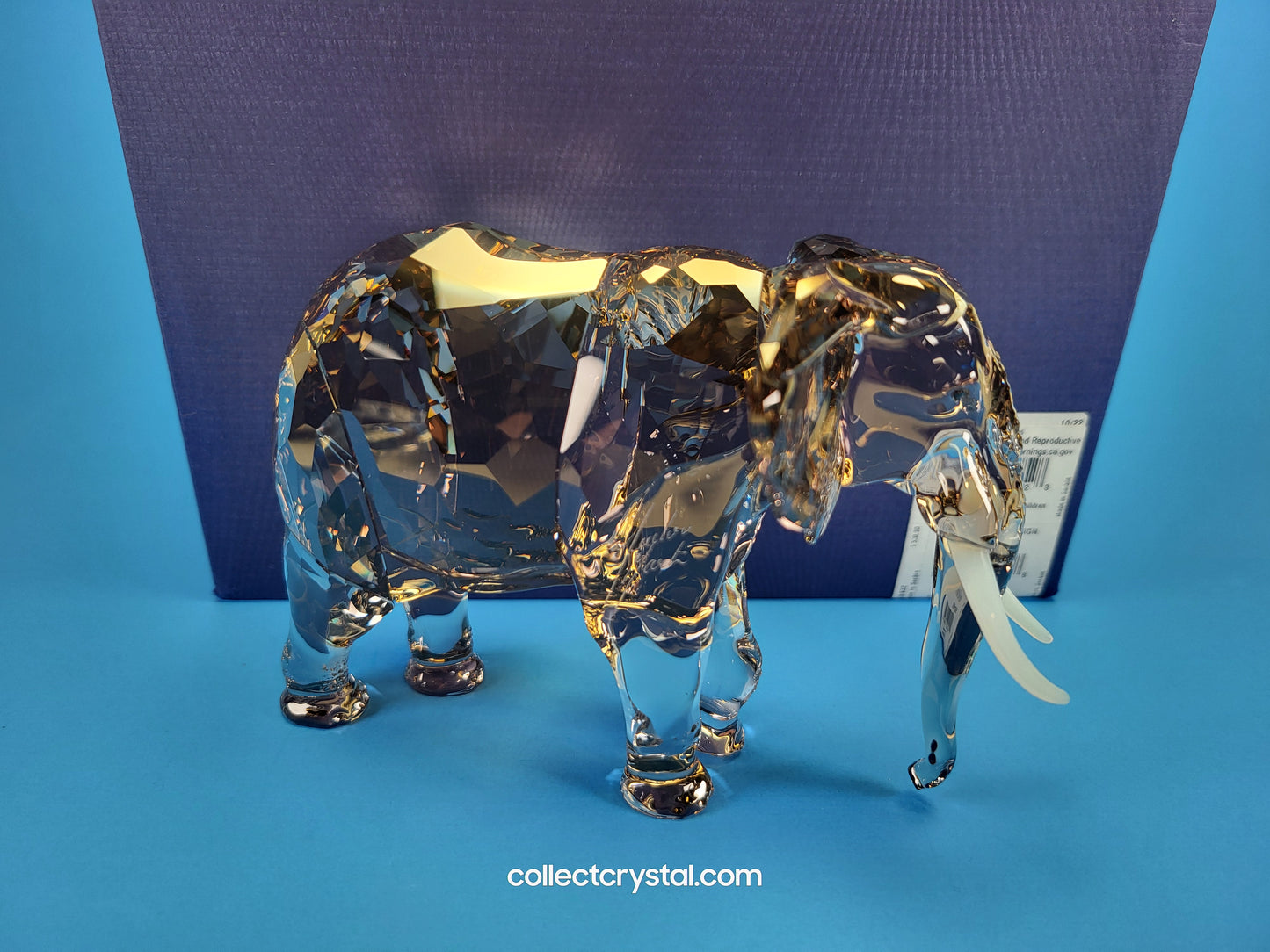Elegance of Africa SCS Elephant Fayola 455, Zena 667, & Mandisa 544
