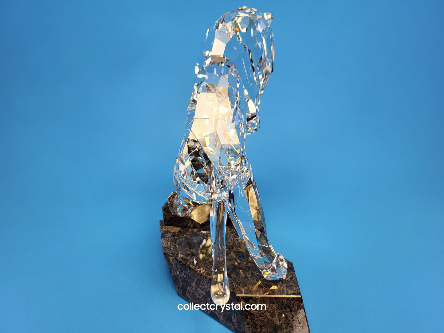 SOULMATES – LION CLEAR 1001111 / 5103232