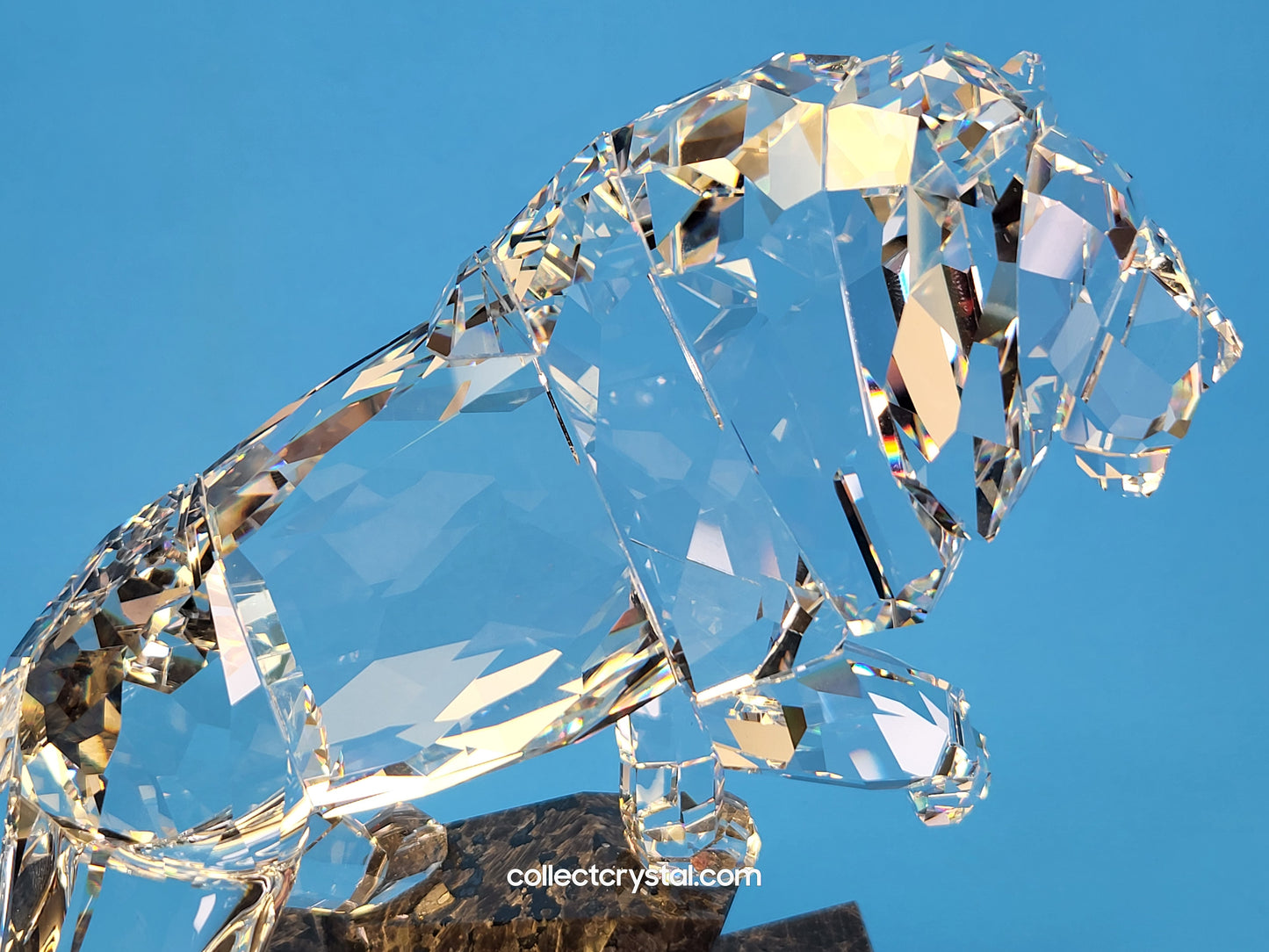 SOULMATES – LION CLEAR 1001111 / 5103232