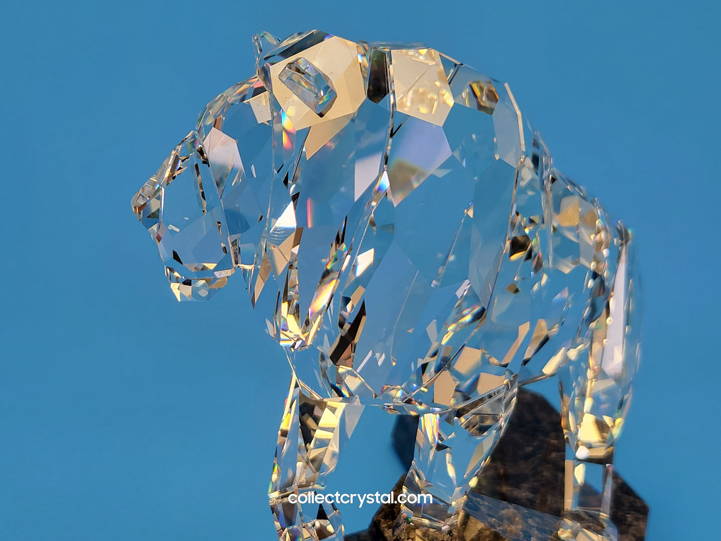 SOULMATES – LION CLEAR 1001111 / 5103232
