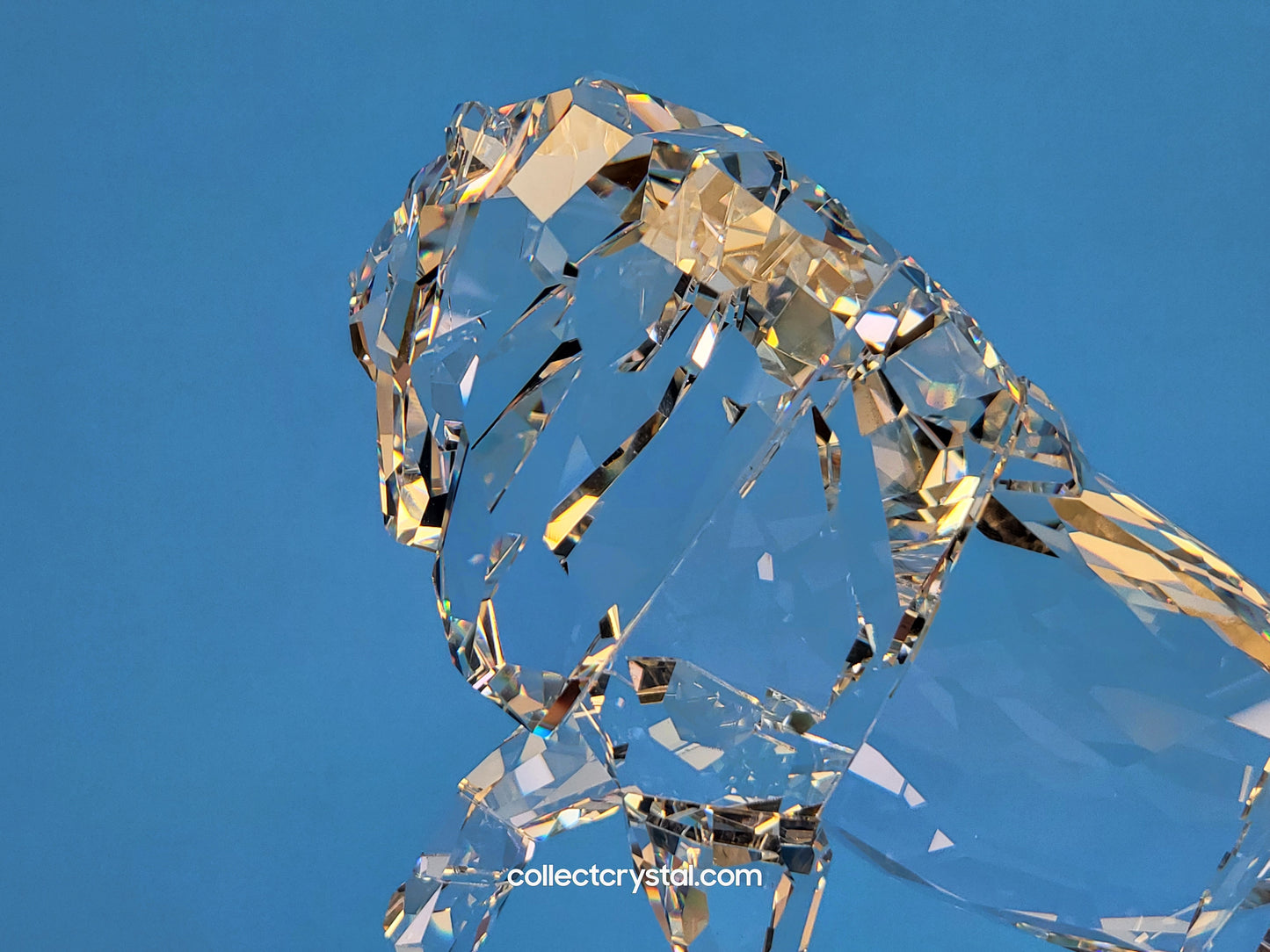 SOULMATES – LION CLEAR 1001111 / 5103232