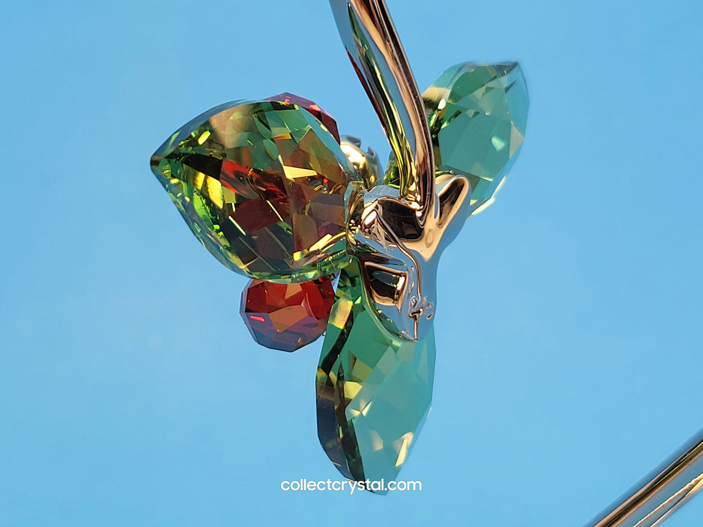 WINTER BERRIES PERIDOT 1094409 Christmas Ornament