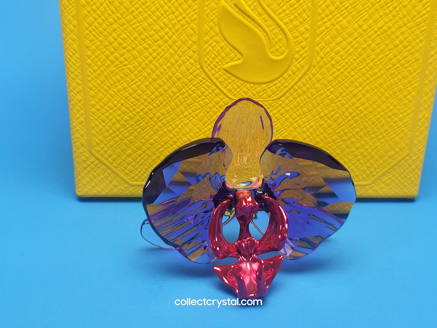 SCS IDYLLIA Orchid Petal FLOWER # 5669354, NOS