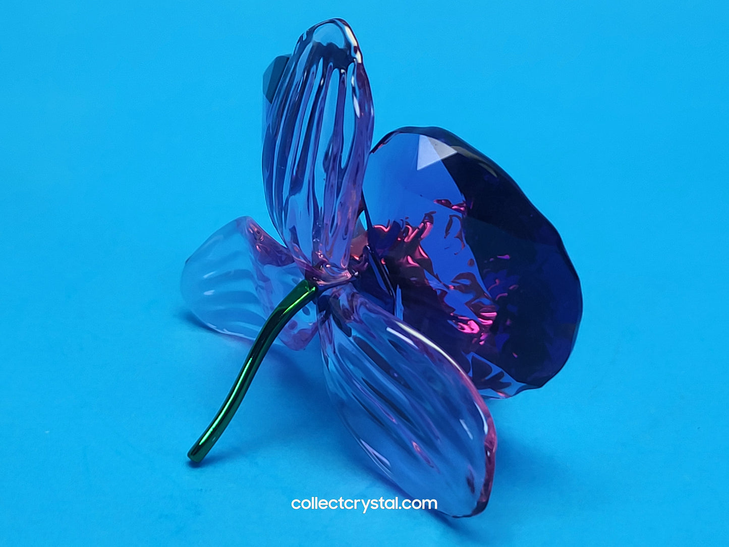SCS IDYLLIA Orchid Petal FLOWER # 5669354, NOS