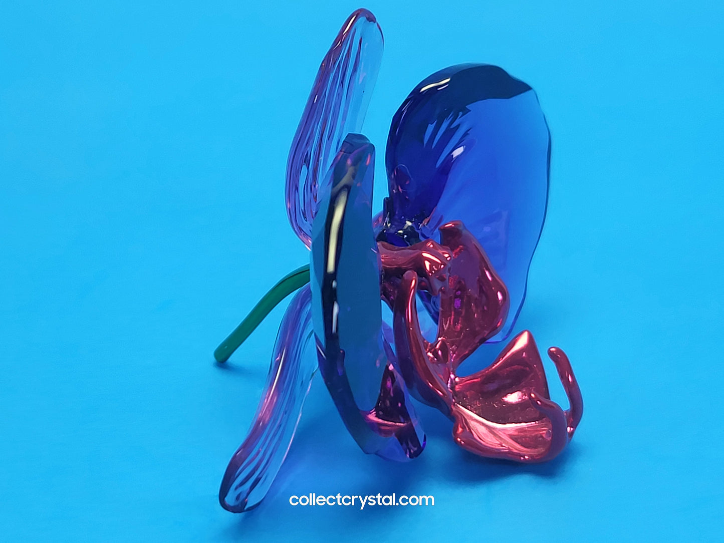 SCS IDYLLIA Orchid Petal FLOWER # 5669354, NOS