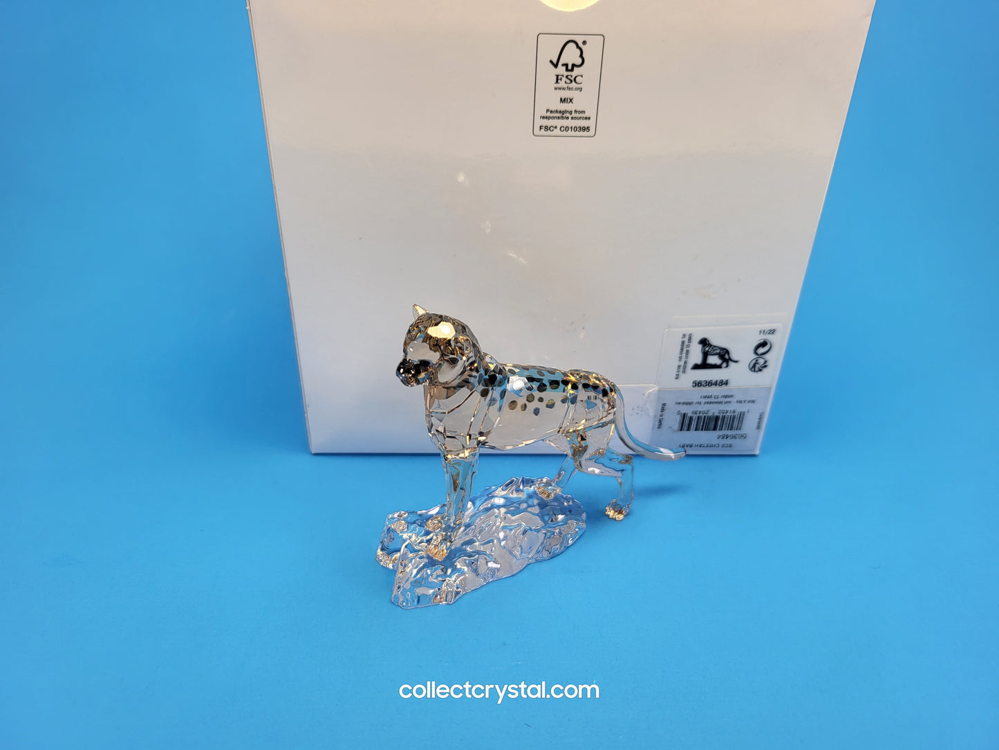 ELEGANCE OF AFRICA CHEETAH BABY JABARI 5636484