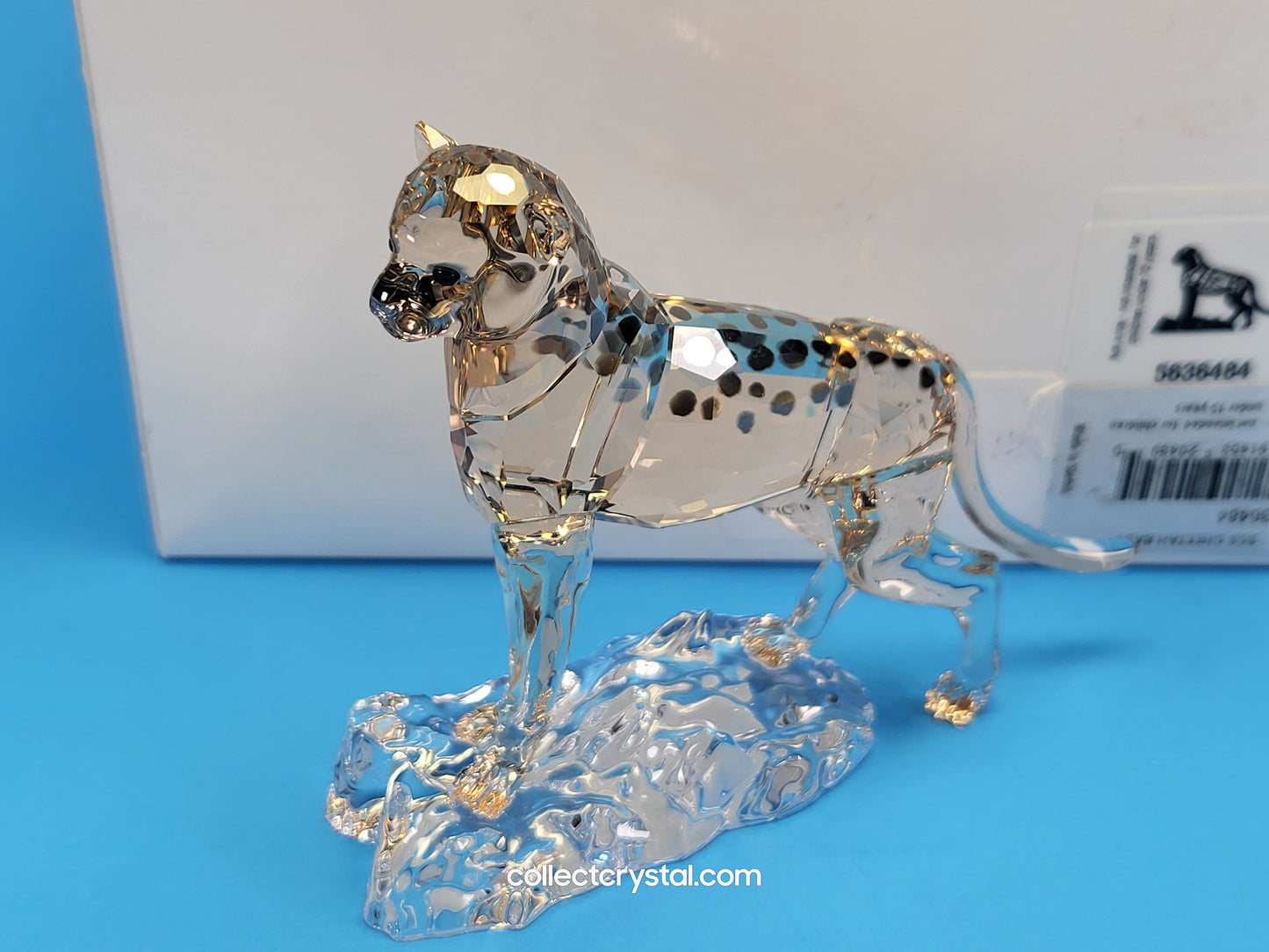 ELEGANCE OF AFRICA CHEETAH BABY JABARI 5636484
