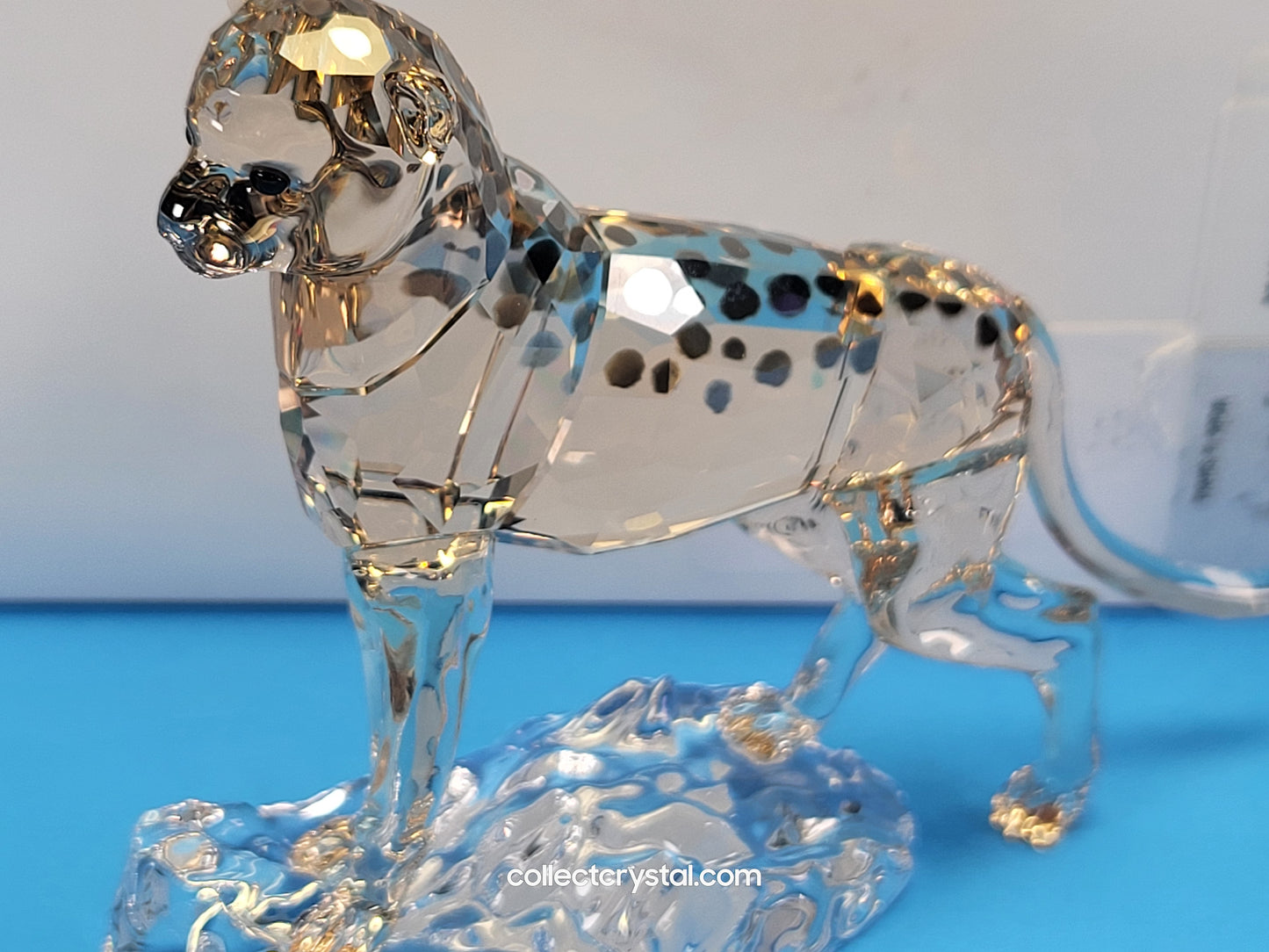 ELEGANCE OF AFRICA CHEETAH BABY JABARI 5636484