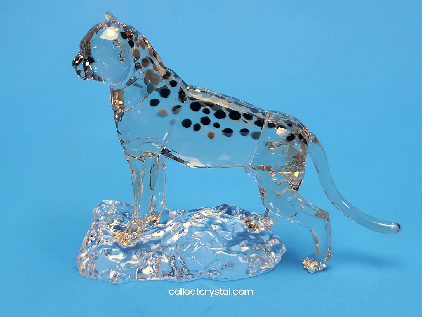 ELEGANCE OF AFRICA CHEETAH BABY JABARI 5636484