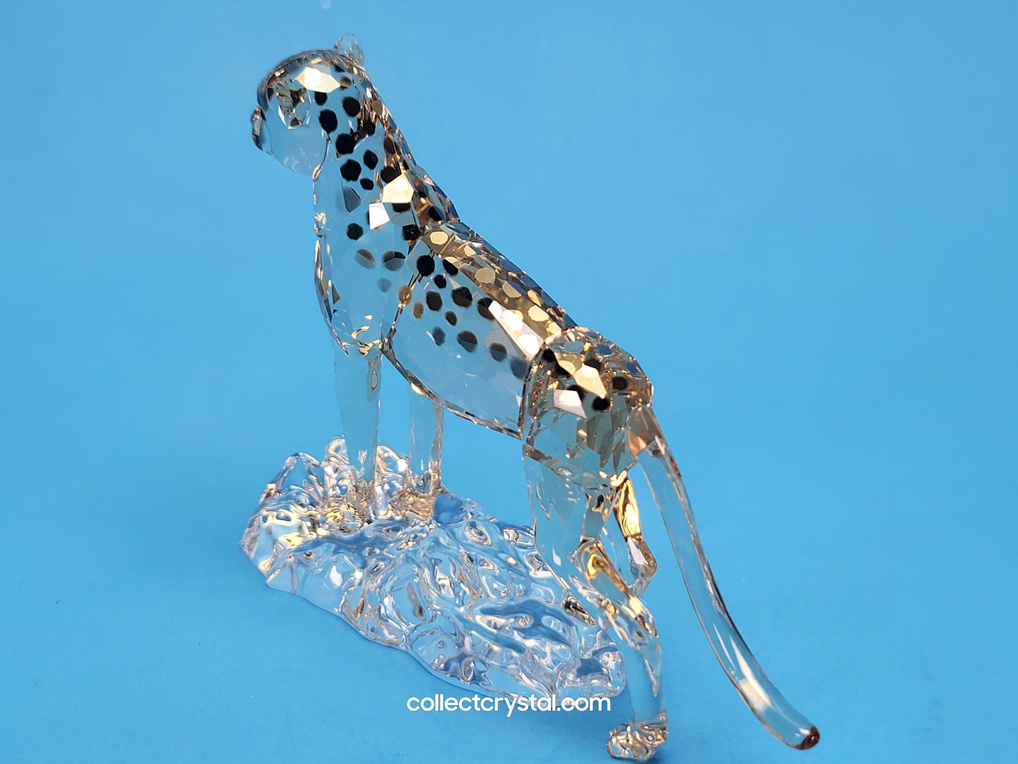 ELEGANCE OF AFRICA CHEETAH BABY JABARI 5636484