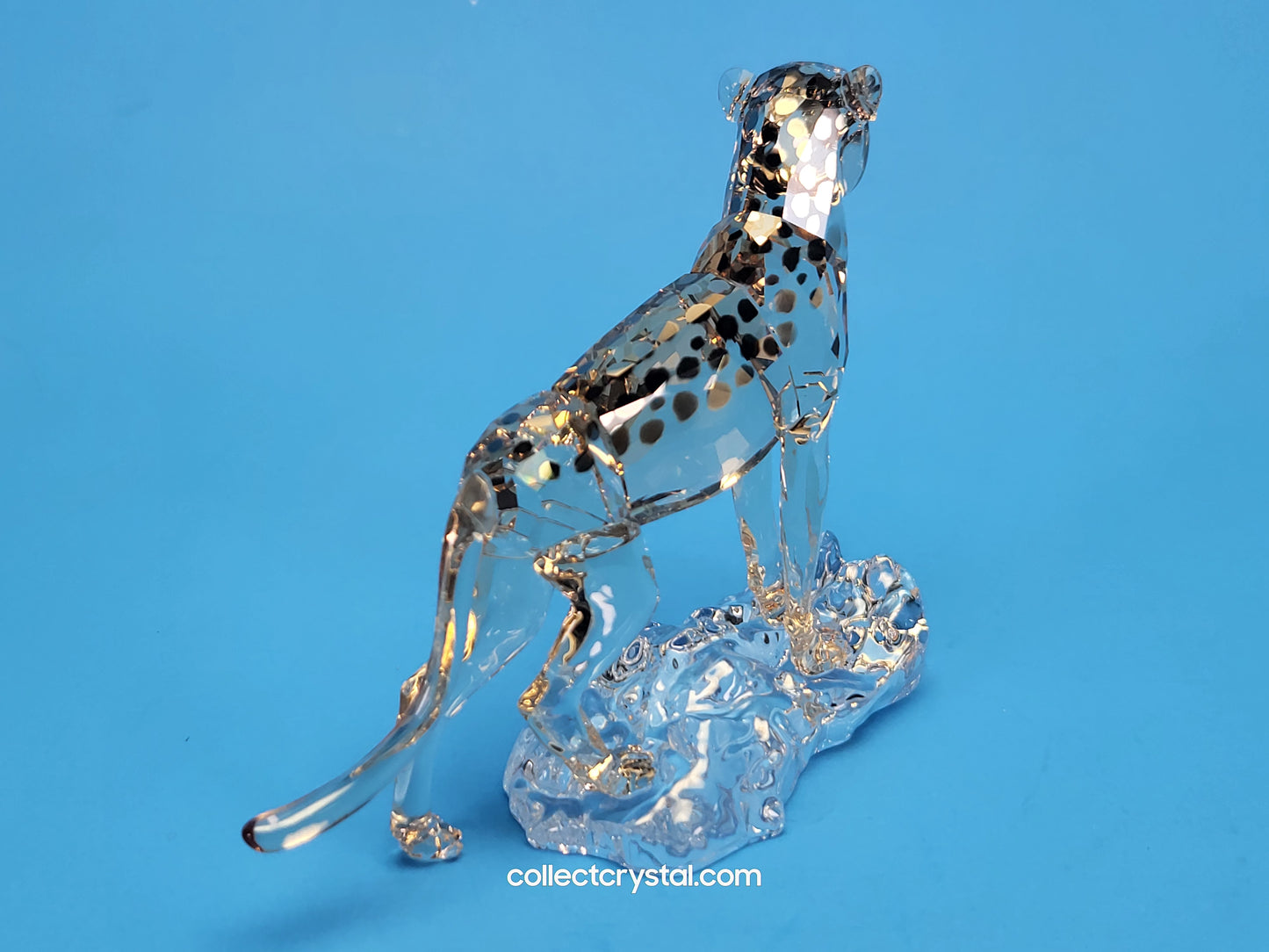 ELEGANCE OF AFRICA CHEETAH BABY JABARI 5636484
