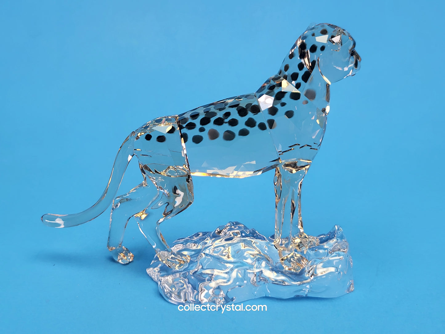 ELEGANCE OF AFRICA CHEETAH BABY JABARI 5636484