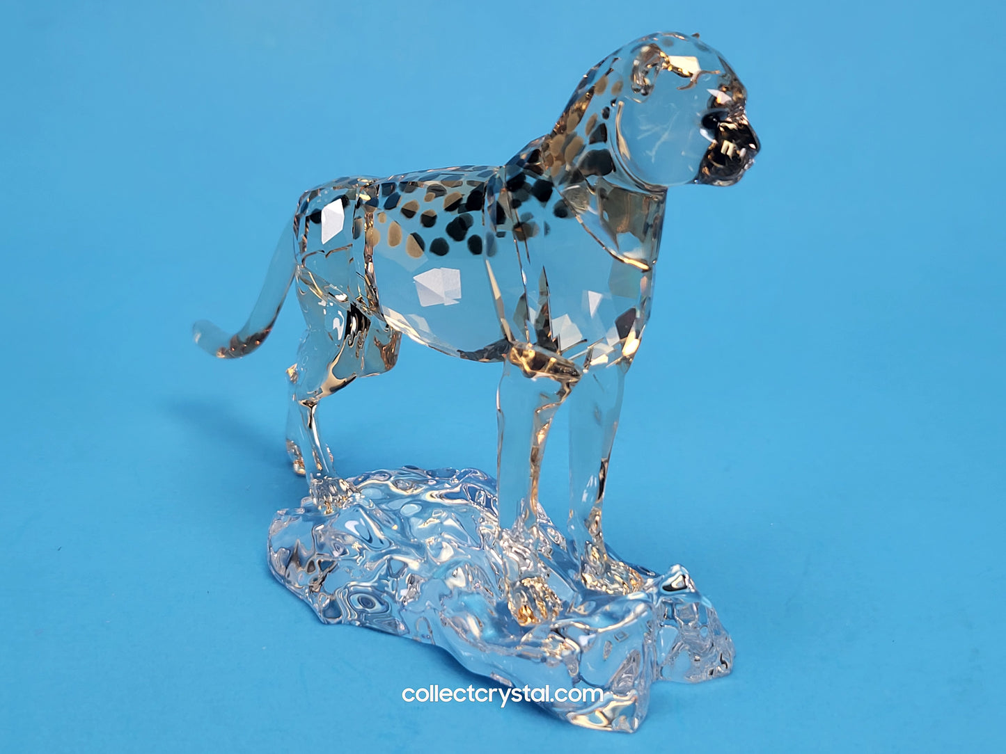 ELEGANCE OF AFRICA CHEETAH BABY JABARI 5636484