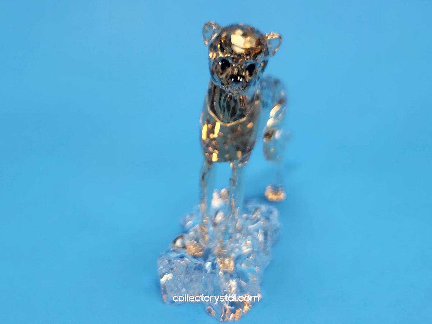 ELEGANCE OF AFRICA CHEETAH BABY JABARI 5636484