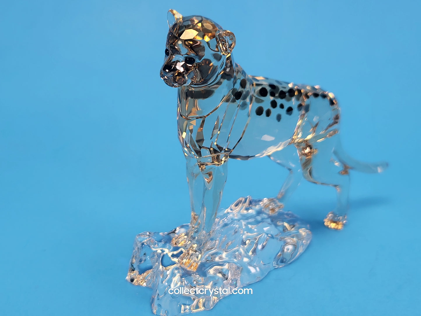 ELEGANCE OF AFRICA CHEETAH BABY JABARI 5636484