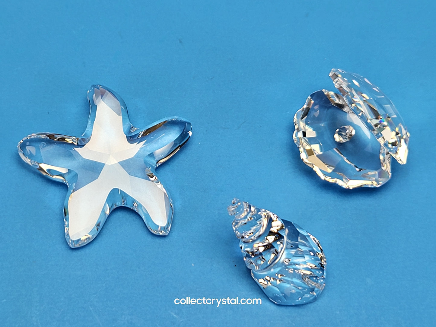 StarFish, Oyster, & Conch MARITIME Sea Shell TRIO # 7624 100 / 191697