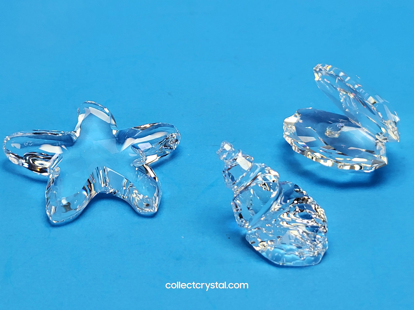 StarFish, Oyster, & Conch MARITIME Sea Shell TRIO # 7624 100 / 191697