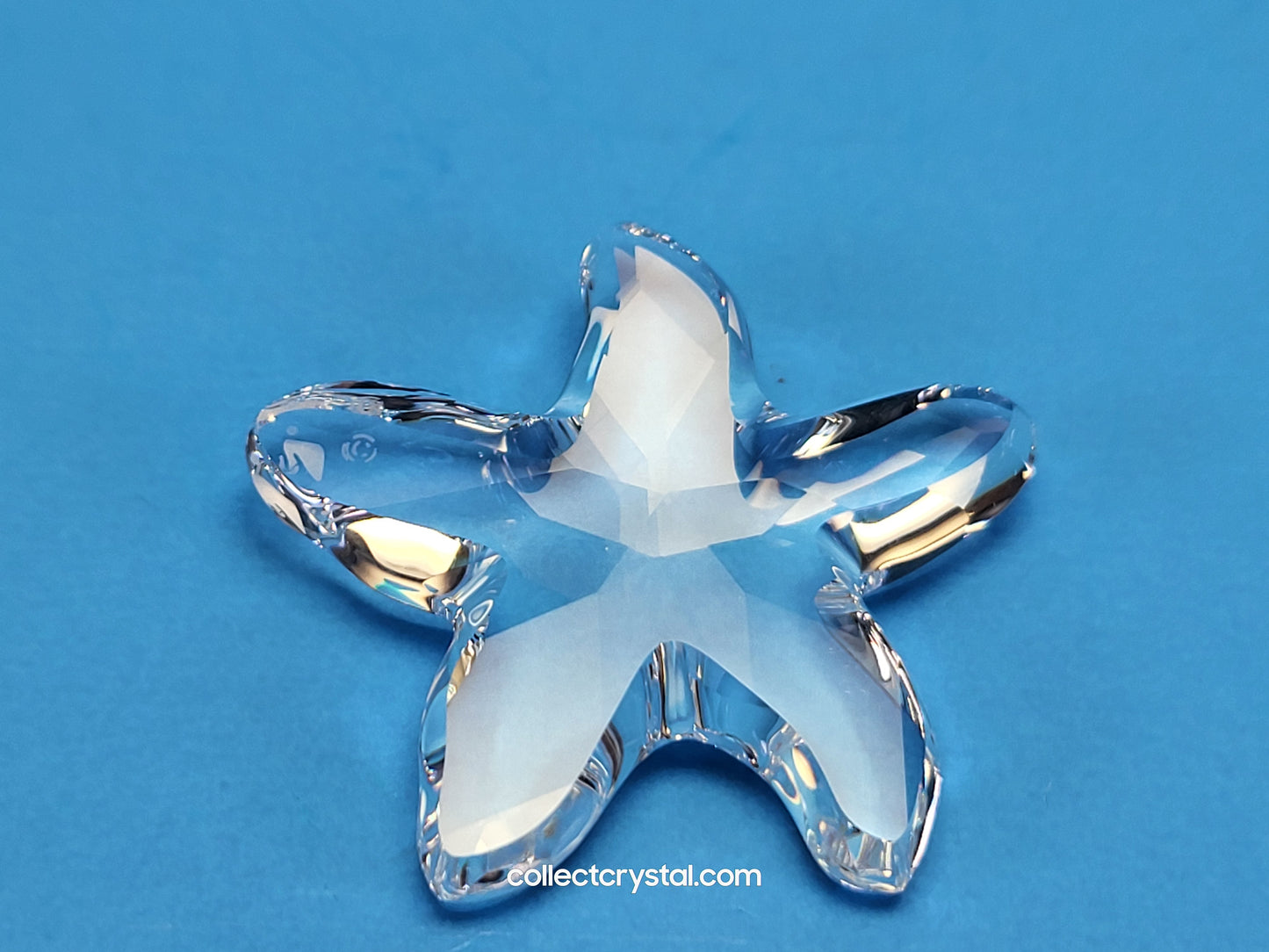 StarFish, Oyster, & Conch MARITIME Sea Shell TRIO # 7624 100 / 191697