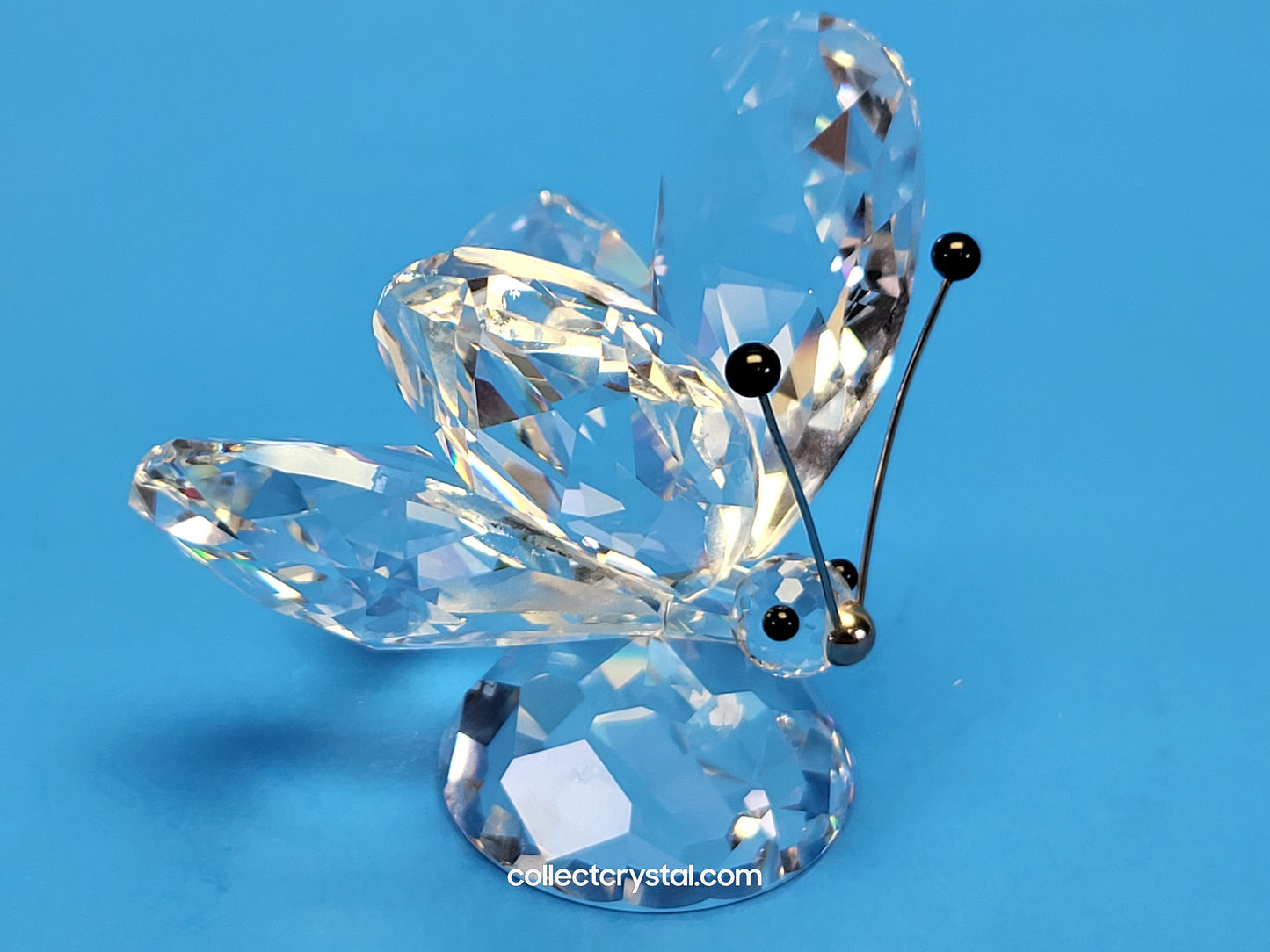 BUTTERFLY LARGE v1 BLACK TIPS ON RHODIUM ANTENNA SMALL NOSE 010002