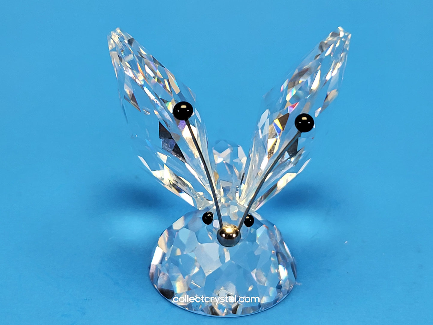 BUTTERFLY LARGE v1 BLACK TIPS ON RHODIUM ANTENNA SMALL NOSE 010002