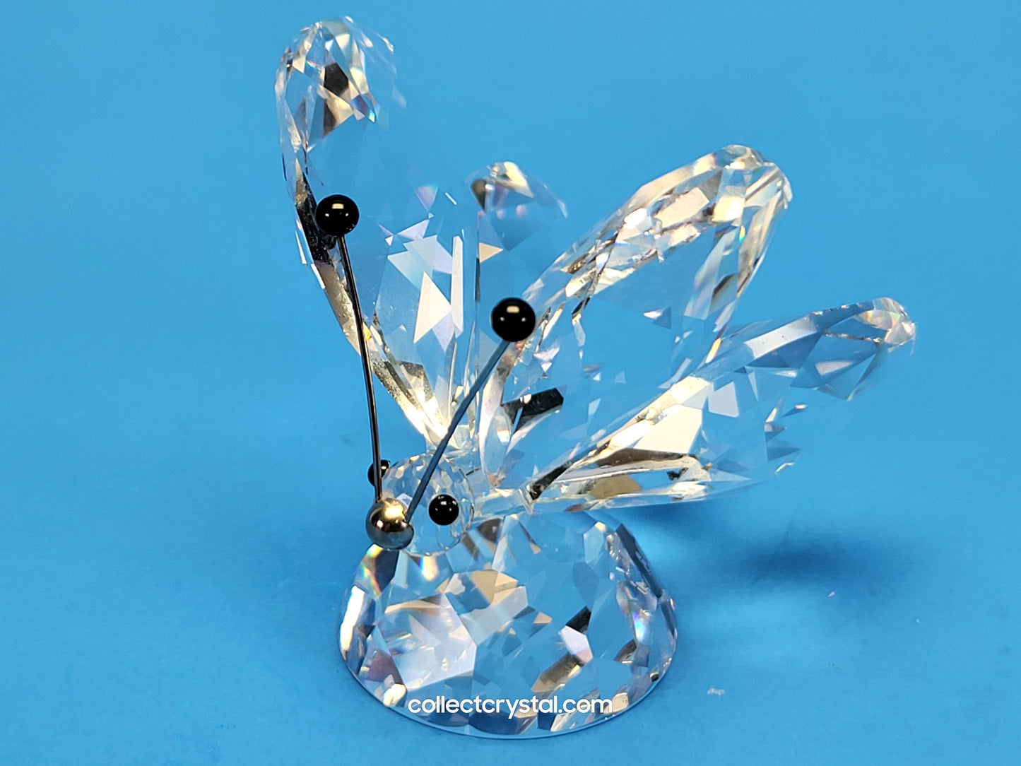 BUTTERFLY LARGE v1 BLACK TIPS ON RHODIUM ANTENNA SMALL NOSE 010002
