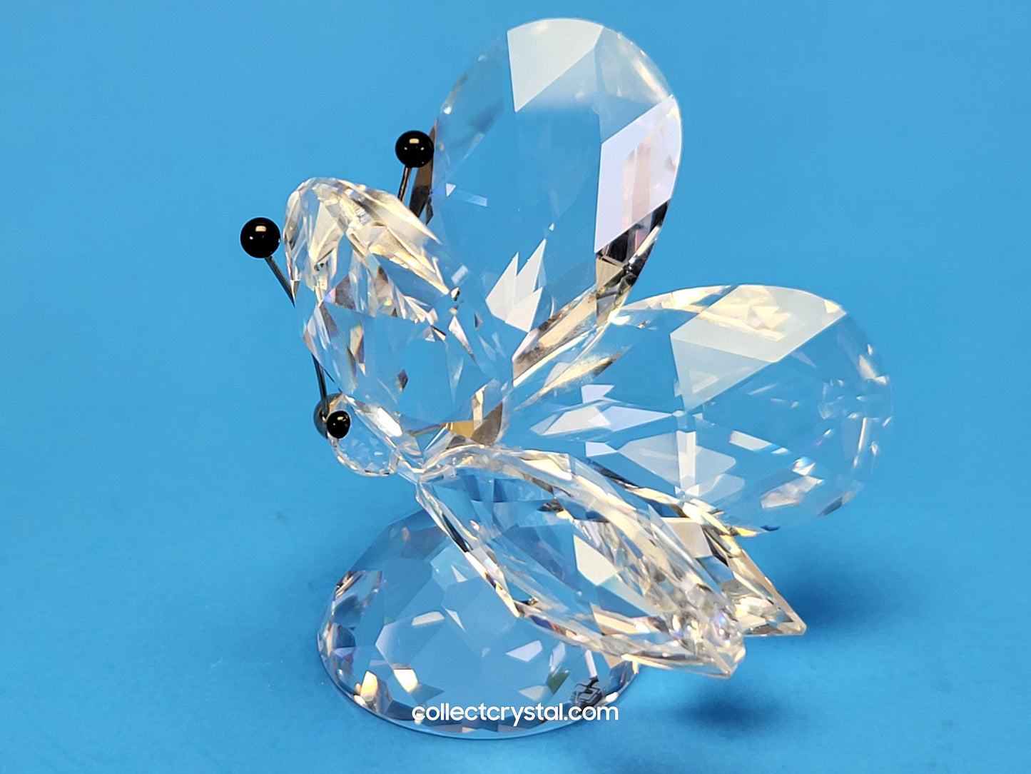 BUTTERFLY LARGE v1 BLACK TIPS ON RHODIUM ANTENNA SMALL NOSE 010002