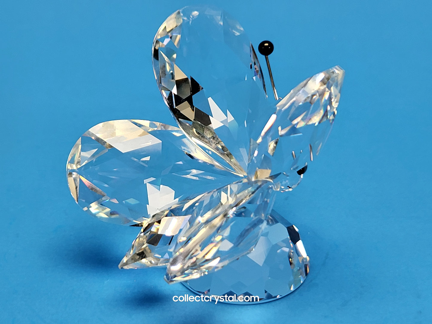 BUTTERFLY LARGE v1 BLACK TIPS ON RHODIUM ANTENNA SMALL NOSE 010002