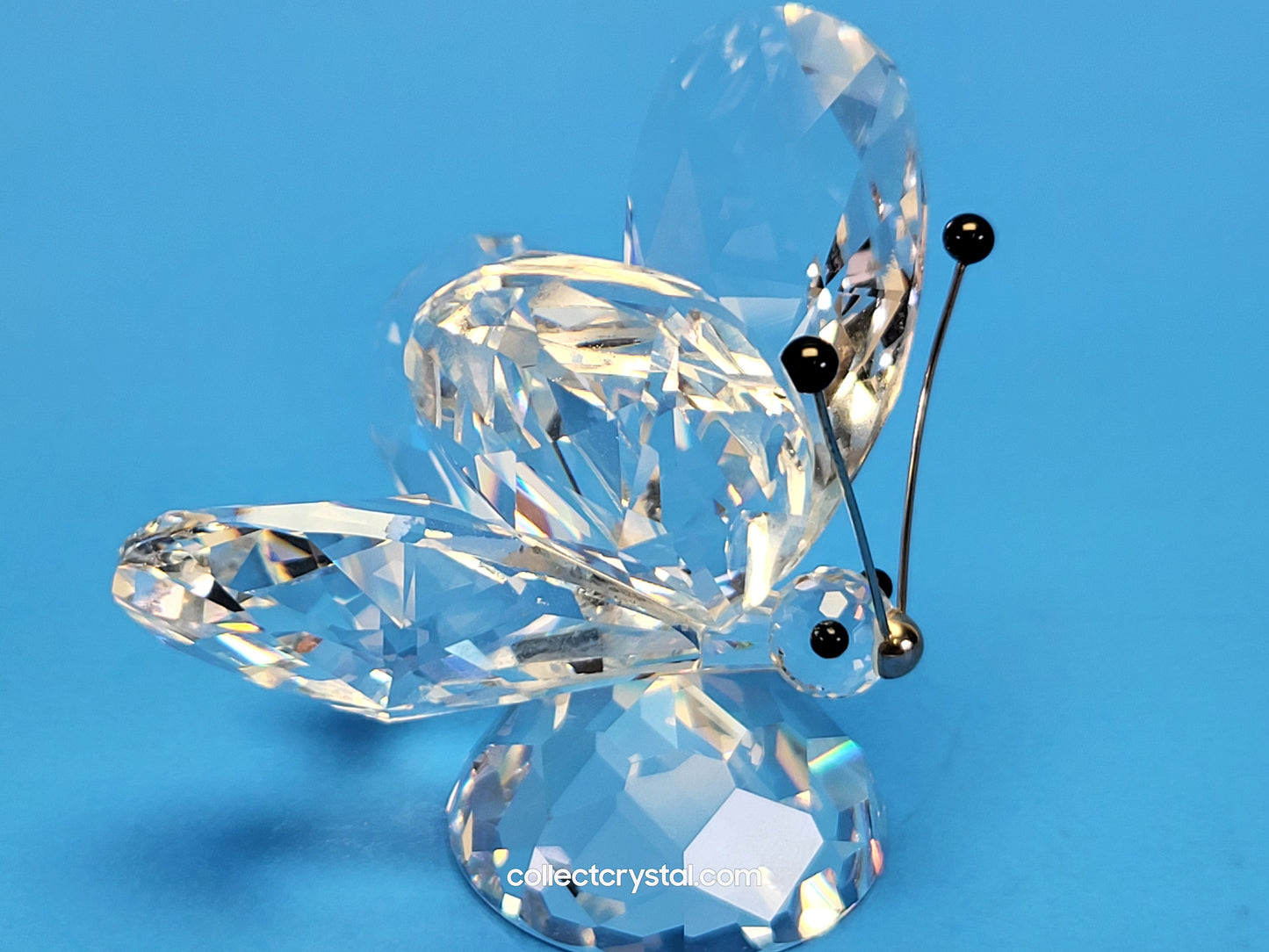 BUTTERFLY LARGE v1 BLACK TIPS ON RHODIUM ANTENNA SMALL NOSE 010002