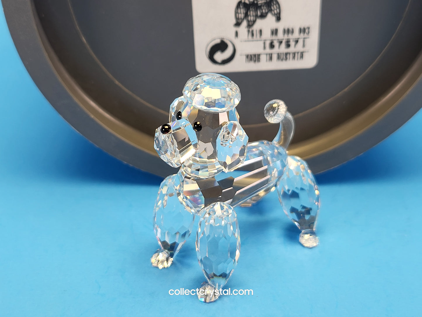 POODLE STANDING V2 CLEAR TAIL 167571