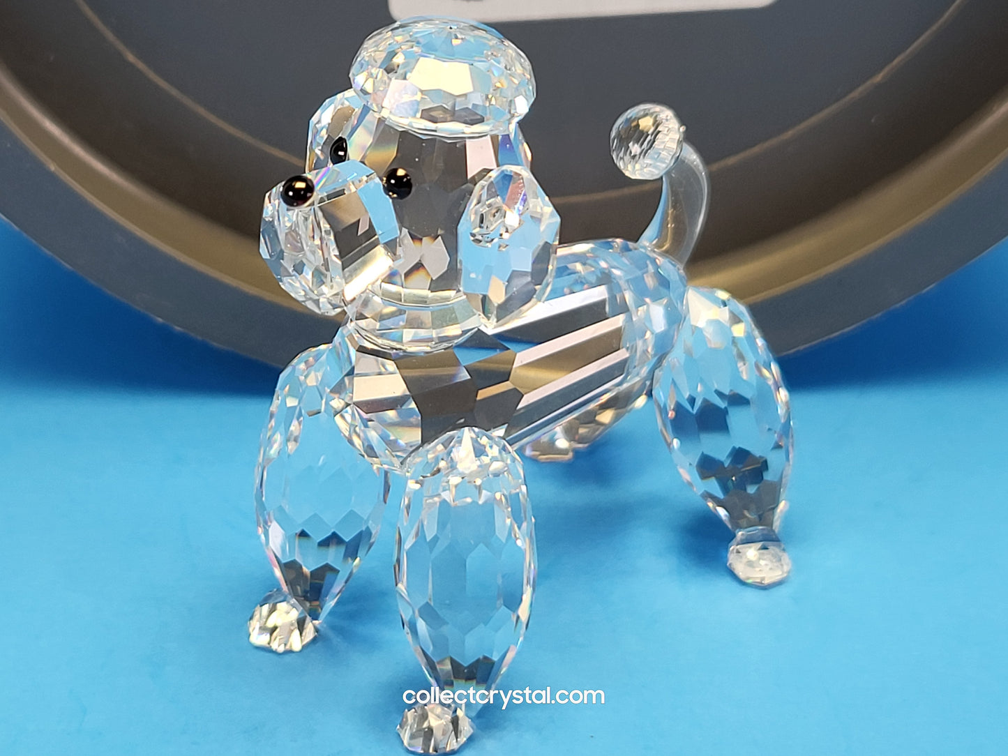 POODLE STANDING V2 CLEAR TAIL 167571