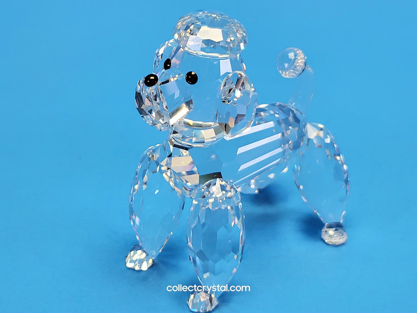 POODLE STANDING V2 CLEAR TAIL 167571