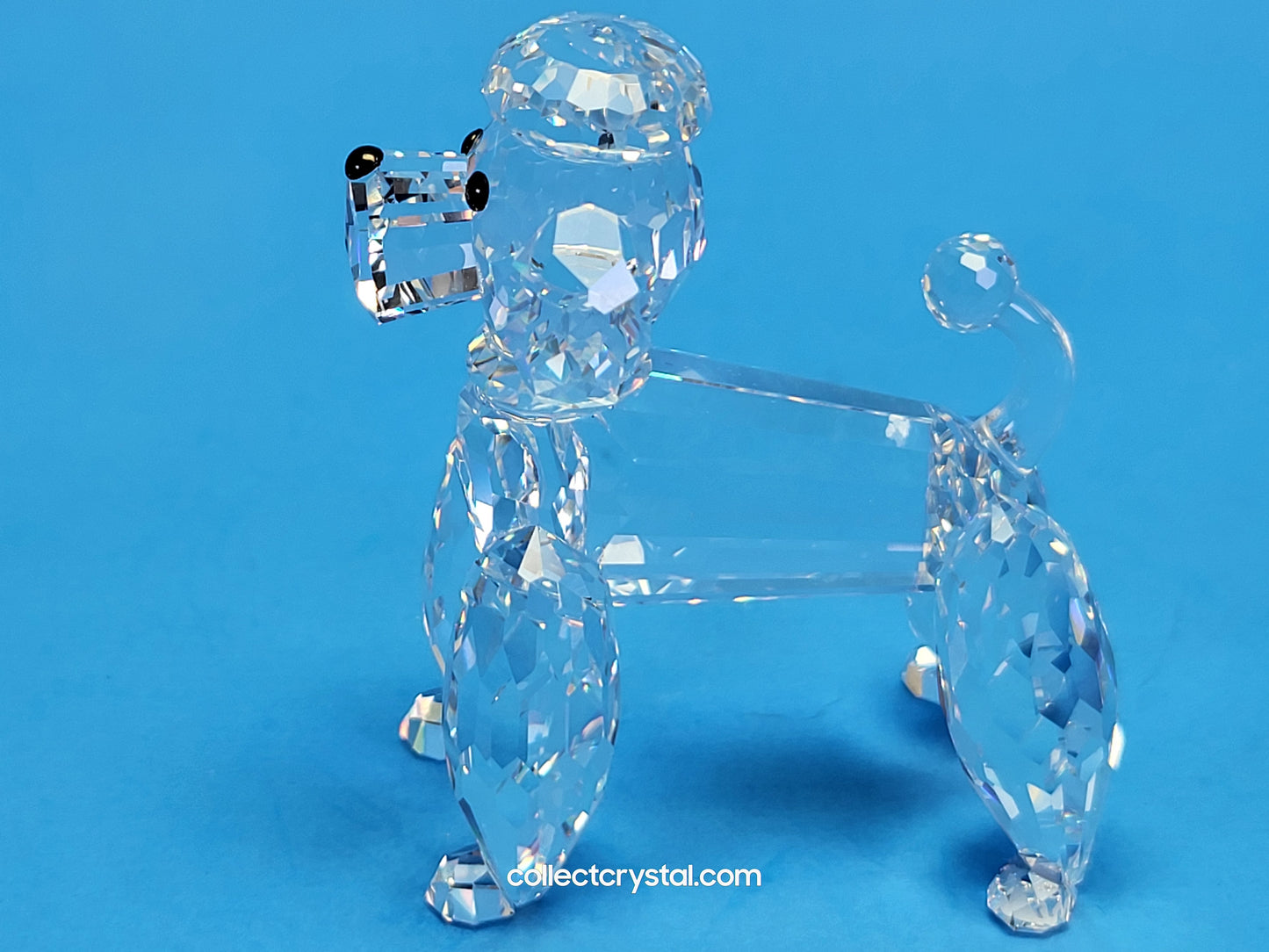POODLE STANDING V2 CLEAR TAIL 167571
