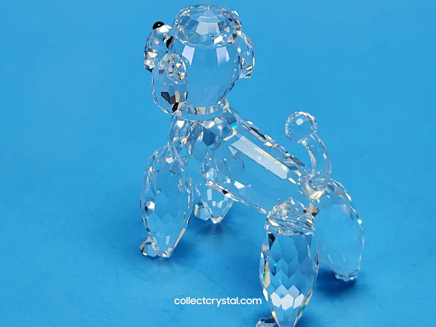 POODLE STANDING V2 CLEAR TAIL 167571