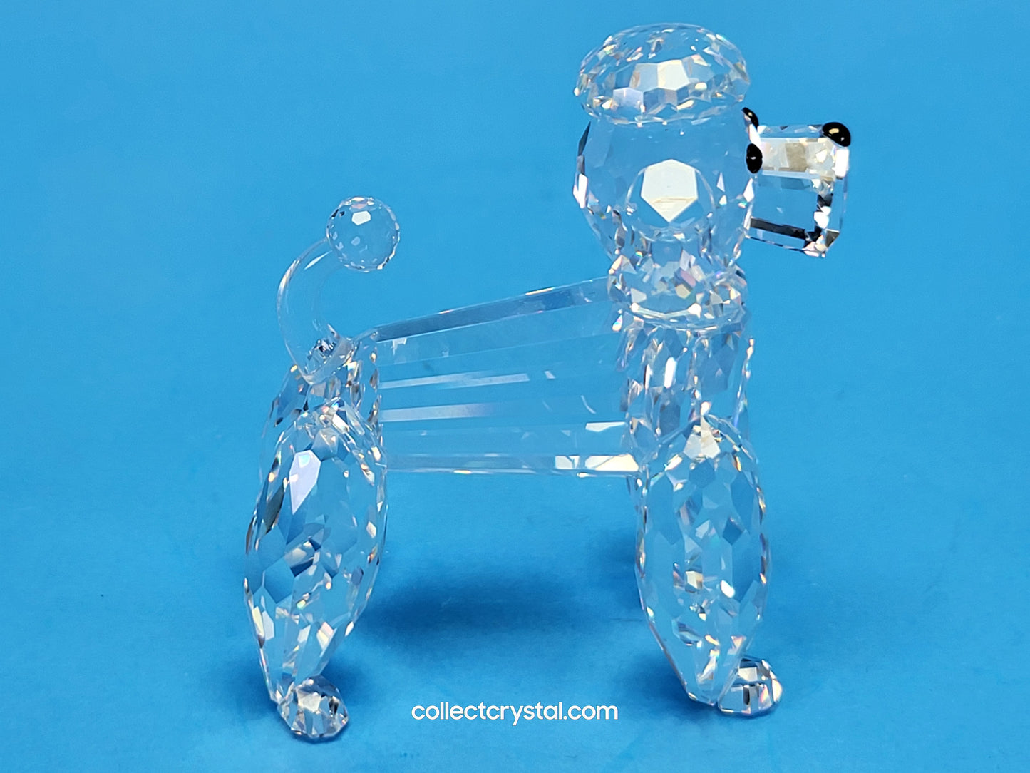 POODLE STANDING V2 CLEAR TAIL 167571