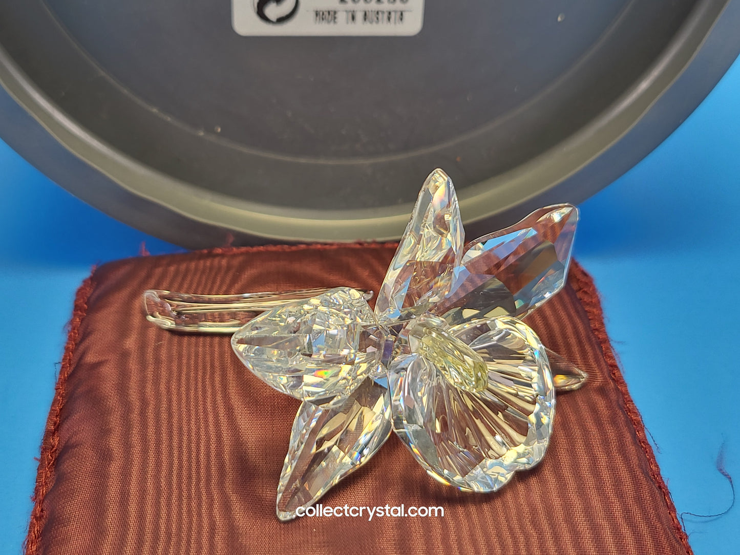 ORCHID FLOWER – YELLOW LIGHT CENTER # 200280